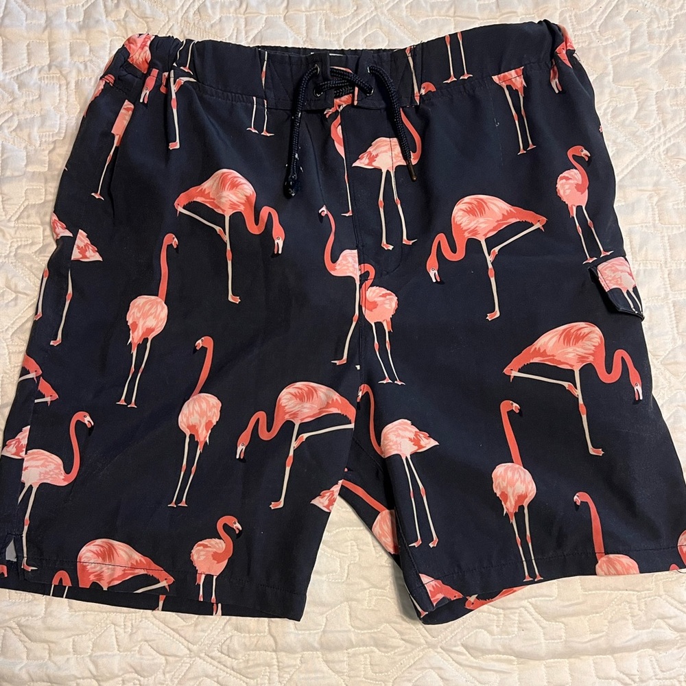 Class Club swim trunks with Flamingos